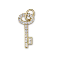 Amaranthus Key Charm in Yellow Gold