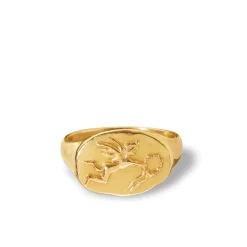 Flying Eros Ring in Yellow Gold