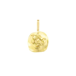 Frog Medal Charm in Yellow Gold