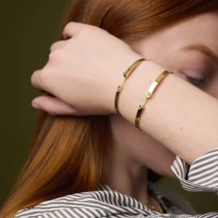 Tsavorite Business Meeting Bangle in Yellow Gold